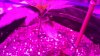 20140123_204902.jpg