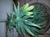 20140125_184821.jpg 20140125_184821.jpg