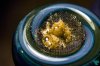 EllieDome2_zps49cbd1b2.jpg