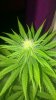 IMAG0924_cleaned.jpg