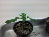 20140129_152732.jpg 20140129_152732.jpg