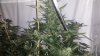 20140129_210340.jpg