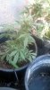 WP_20140129_005.jpg