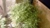 WP_20140129_015.jpg