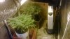 WP_20140129_013.jpg