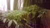 WP_20140129_016.jpg