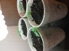 20140129_154032.jpg