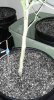 20140129_225409-1.jpg
