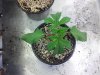 20140201_124829.jpg 20140201_124829.jpg
