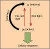 Figure_30_06_01.jpg