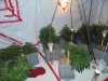 DSC00151.jpg