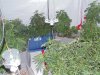 DSC00153.jpg