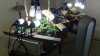 KnC 11wo 7wk flw grow room b.jpg KnC 11wo 7wk flw grow room b.jpg