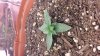20140201_121353.jpg