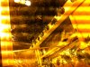 photo 2.JPG