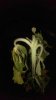 IMAG0242.jpg
