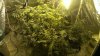 IMAG1393_zpse4f60ad4.jpg