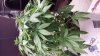 20140204_133318.jpg