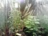 DSC_0157.jpg DSC_0157.jpg