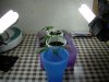 DSCN1088.jpg