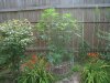 IMG_0447.jpg