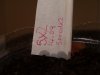 First Grow 005.jpg