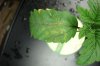 DSC00551.jpg