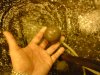 DSC00063.jpg