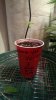 IMAG0781.jpg