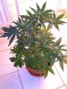 BILD4751.jpg
