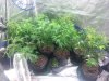 20140201_235521.jpg