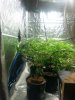 20140211_061725.jpg