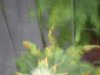DSCN1887.jpg