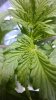 WP_20140209_003.jpg WP_20140209_003.jpg