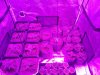 20140215_105935.jpg