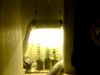 Snapshot_20140216_2.JPG Snapshot_20140216_2.JPG