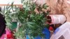 20140215_210650.jpg