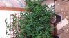 20140215_211803.jpg
