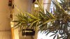 20140217_232330.jpg 20140217_232330.jpg