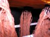IMG_3626.jpg IMG_3626.jpg