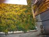 DSCN3092.JPG