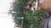 20140219_214846.jpg