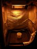 003-journeyman_irie-og_seeds.jpg 003-journeyman_irie-og_seeds.jpg