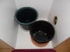 New indoor grow 001.jpg New indoor grow 001.jpg