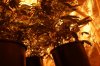 DSC07162.jpg