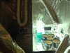 image (13).jpeg