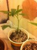 IMG_2100.jpg IMG_2100.jpg
