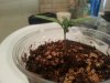 20140222_092835.jpg