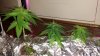 20140223_231742.jpg