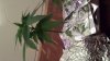 20140223_231640.jpg